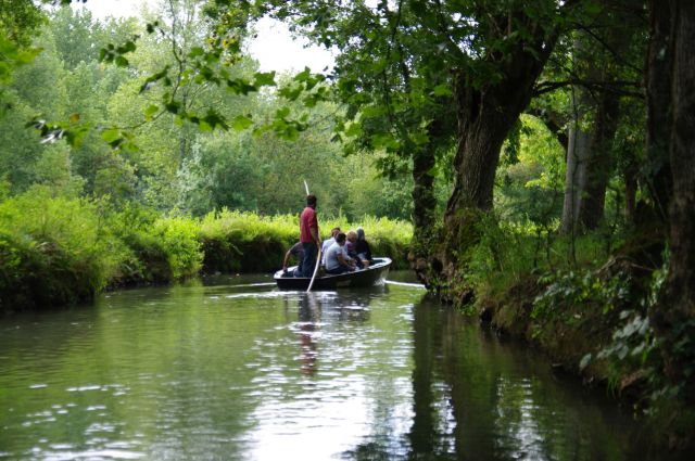 Embarcadère Cardinaud   Marais Poitevin   Collective